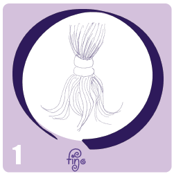 Fino