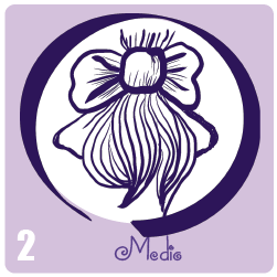 Medio